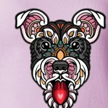 Knírač hlava barevná