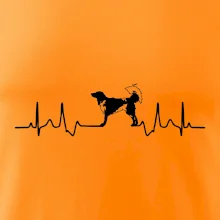 Český strakatý pes EKG