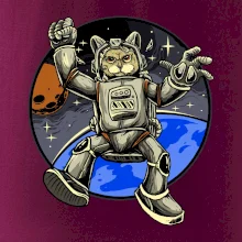 Kočičí astronaut