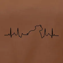 Stafordšírsky bulteriér EKG