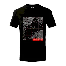 Děčín - Vrstevnice měst