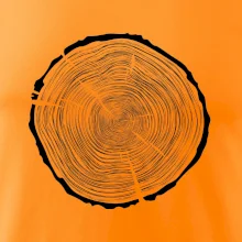 Letokruhy 85 bez věku