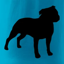 Americký stafordširský teriér  Na prsu