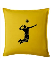 Volejbal nápřah muž