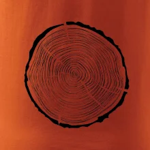 Letokruhy 40 bez věku