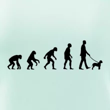 Lagotto romagnolo Evoluce