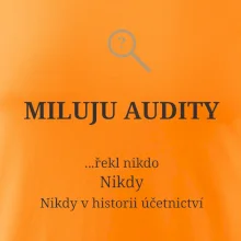Miluju audity řekl nikdo nikdy