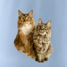 Kočky vectorizované  (Moňas)