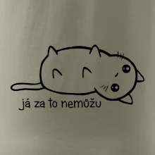 Já za to nemůžu