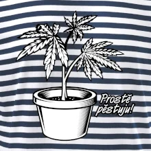 Konopi prostě pěstuju