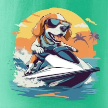 Bígl na vodním skútru