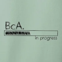 In progress  titul BcA. bakalář / bakalářka umění