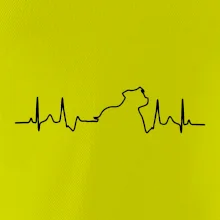 Stafordšírsky bulteriér EKG