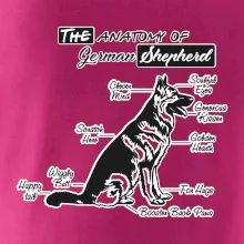 Německý ovčák - Anatomie