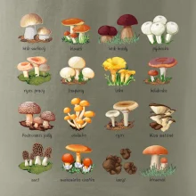 Atlas hub - triko s houbami