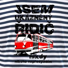 Jsem ukázněný řidič - tramvaj