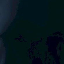 Bagrista v kruhu - vlastní nápis