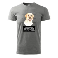 Lump a darebák labrador