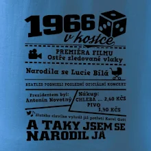 1966 v kostce