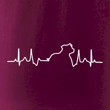 Stafordšírsky bulteriér EKG