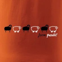 Jsem pasák - ovce v řadě