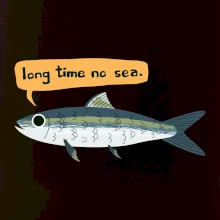 Long time no sea
