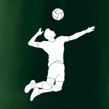 Volejbal nápřah muž