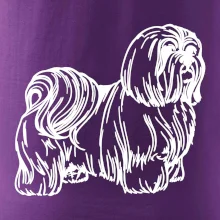 Shih-tzu - chlupatý