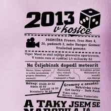 2013 v kostce