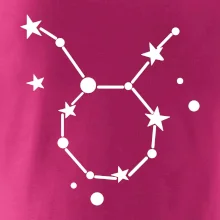 Souhvězdí - Taurus - Býk
