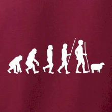 Evoluce pastevec ovcí