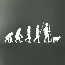 Evoluce pastevec ovcí