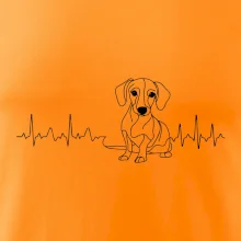 EKG křivka jezevčík