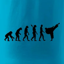 Karate Evoluce - kop