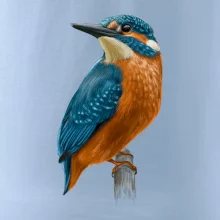 Lednáček kreslený