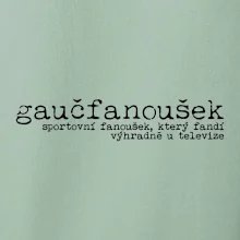 Čeština 2.0 - gaučfanoušek