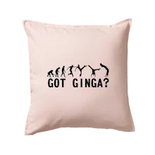 Capoeira - Got Ginga