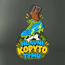 Hlavní kopyto týmu
