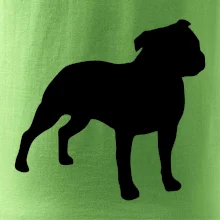 Americký stafordširský teriér  Na prsu