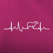 Ekg Capybara