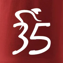Cyklista slaví pětatřicítku (35)