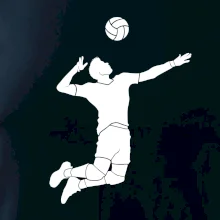 Volejbal nápřah muž Volejbal nápřah muž