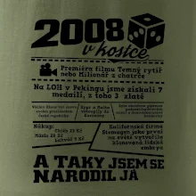 2008 v kostce