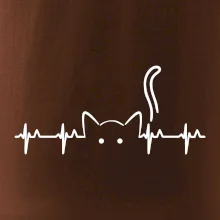 Kočka EKG