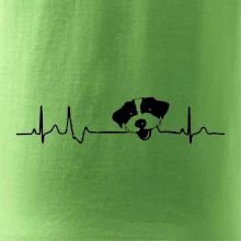 Jack Russell Terriér hrubosrstý Ekg