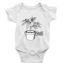 Konopi prostě pěstuju