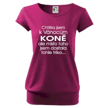 Chtěla jsem k Vánocům koně