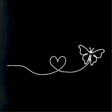 Dráha letu motýla - srdce