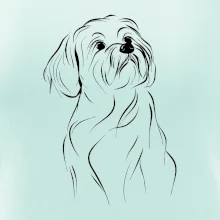 Lhasa Apso černý nákres slabé linky