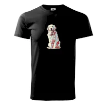 Zlatý retriever vintage